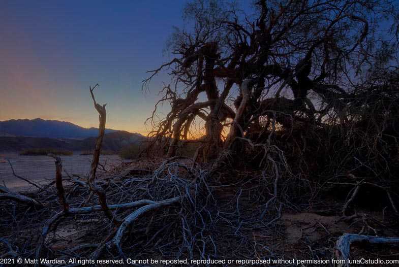 _MG_6188_Death_Valley_sunrise_scrub-HDR-med