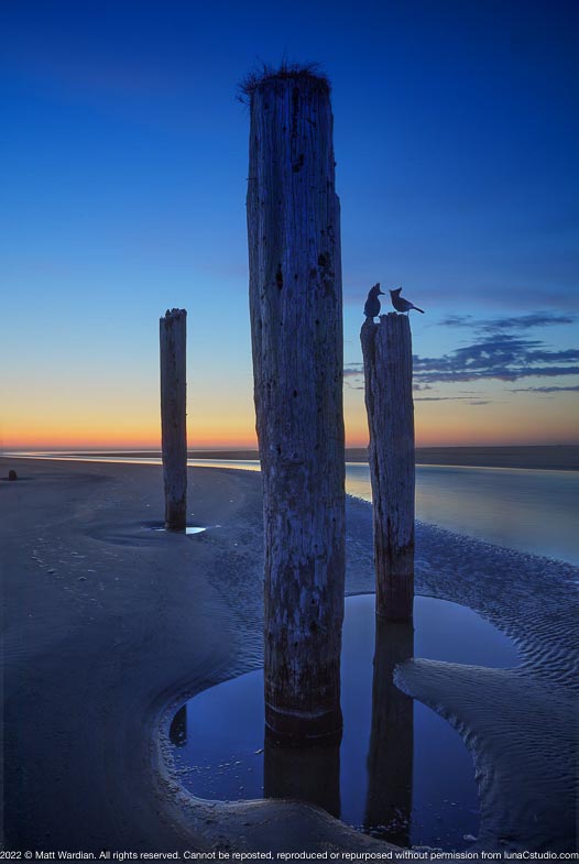 _MG_4037_Joes_creek_twilight_pilings-med