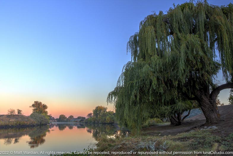 _MG_7472_Dos_Reis_River_weeping_tree_sunrise-med